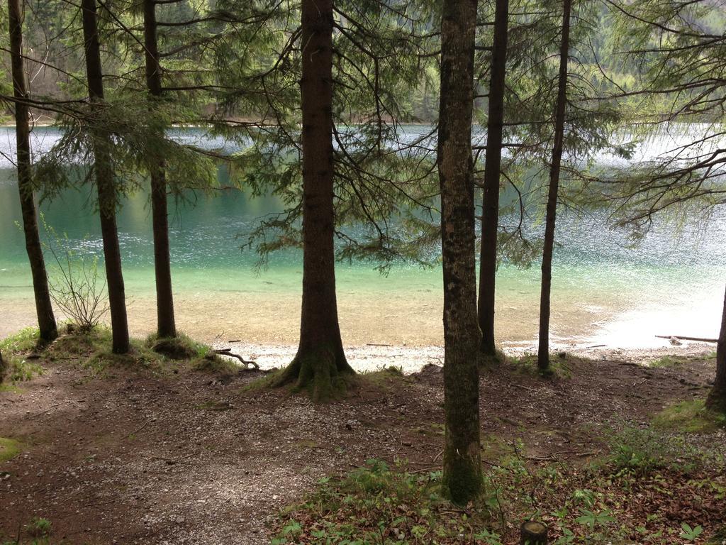 Apartmán See 31, Ferienlofts Am Traunsee Traunkirchen Pokoj fotografie